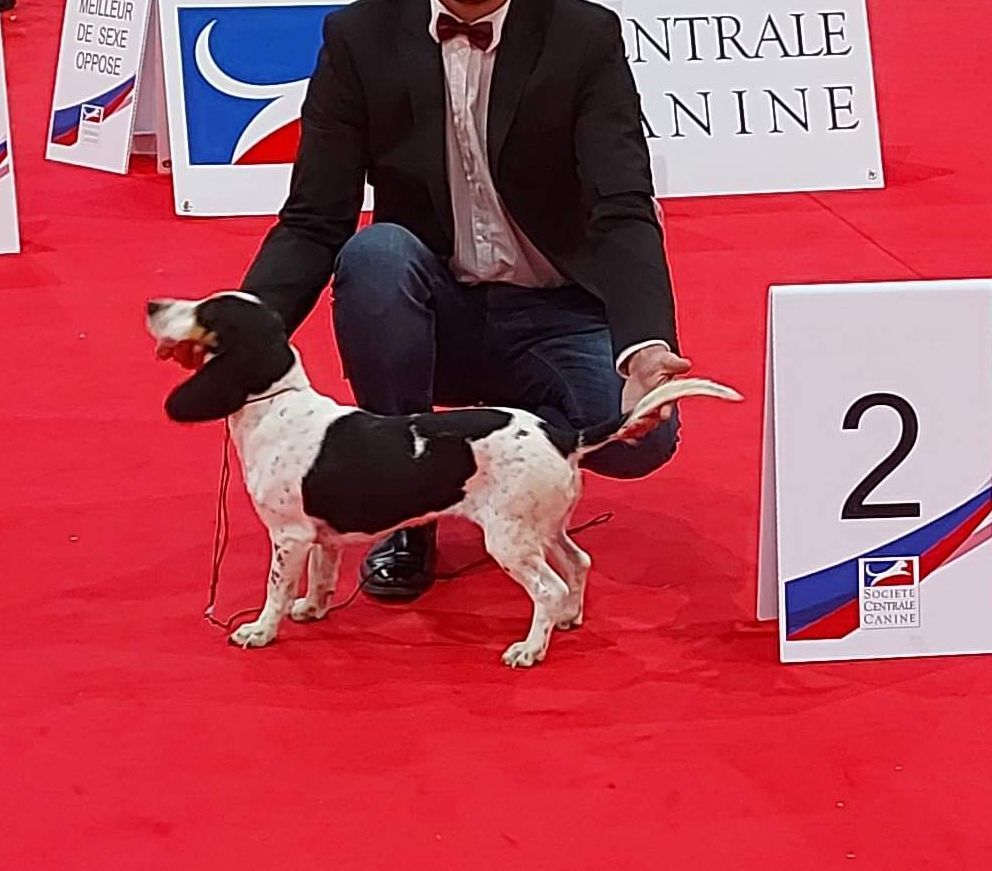 Rita du rallye court il